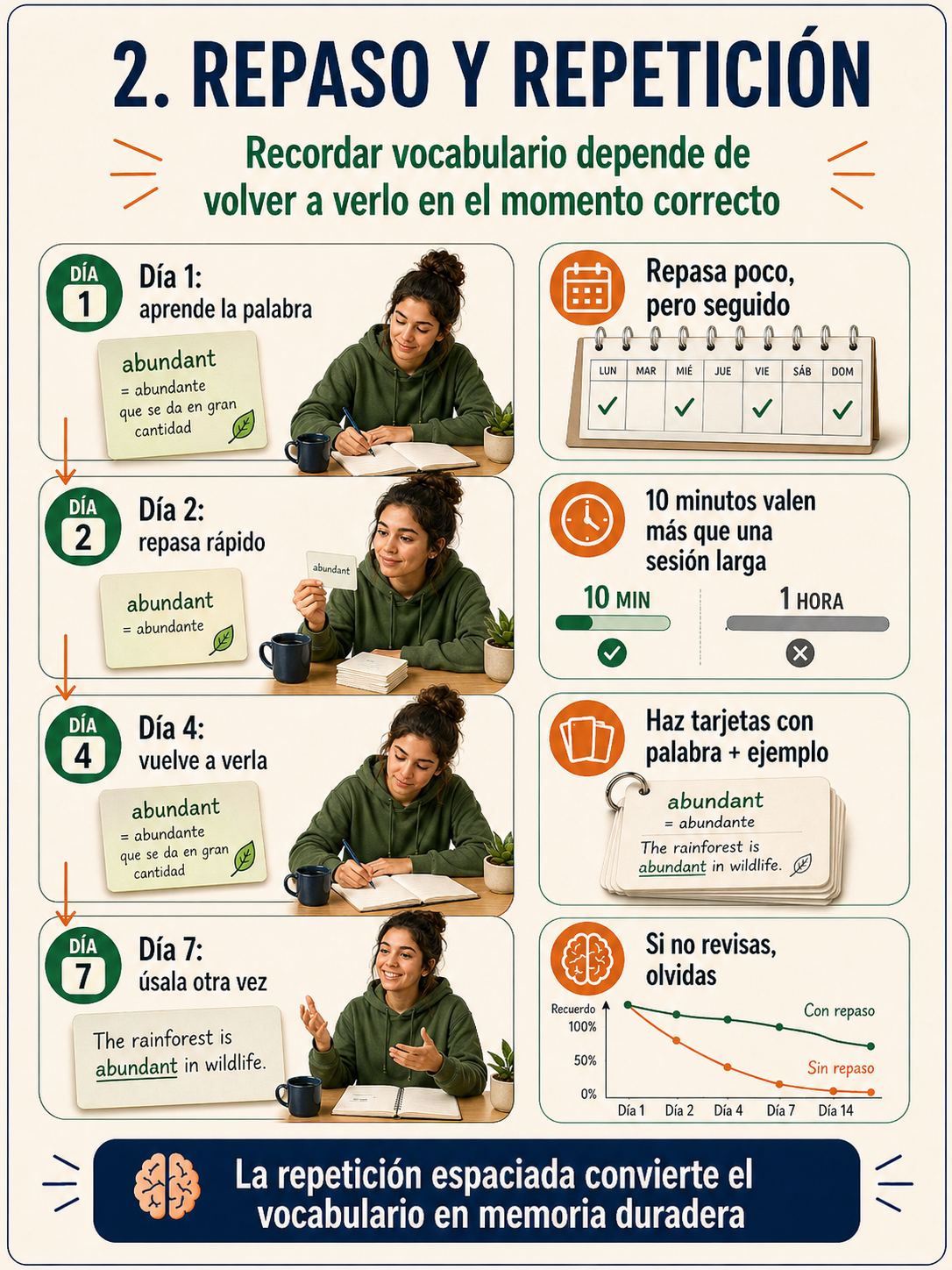 Infografía sobre repaso y repetición espaciada.